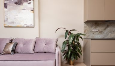 Mieszkanie zakupione z trójmiastowego skupu mieszkań. Na zdjęciu widać kanapę, szafę, obraz oraz roślinę w doniczce.