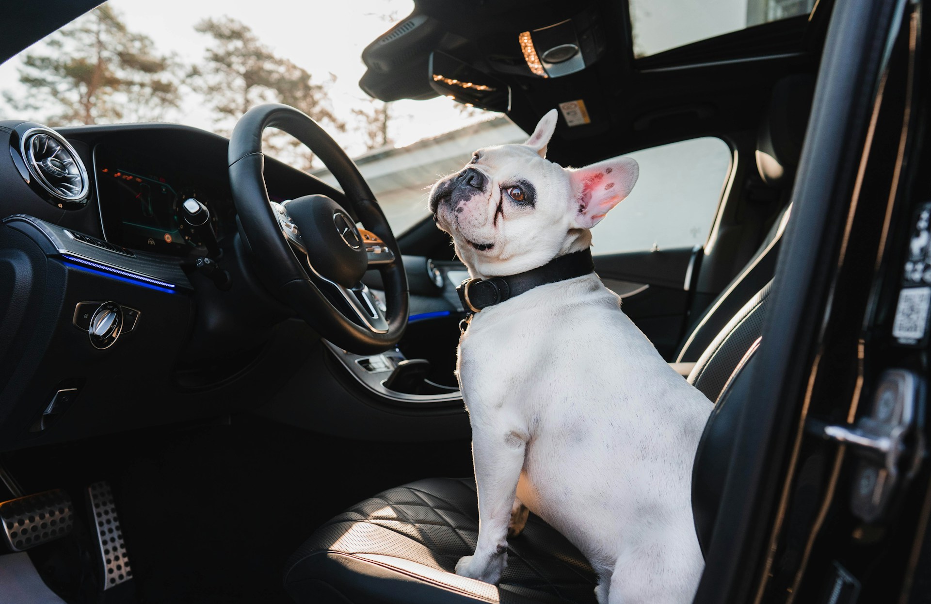 car_driver